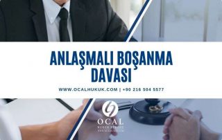 Anlaşmalı Boşanma Davası Şartları, dava dilekçesi, boşanma protokolü ve avukat masrafları incelenmiştir.
