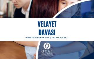 velayet davası şartları ve dava masrafları